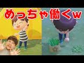 【あつ森】ついに発売！キャンプファイヤーの間に雑草全部抜いちゃうクソ真面目な島民代表さとひろ【あつまれどうぶつの森】