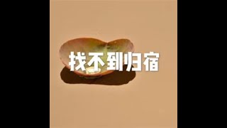 201301 找不到归宿20247