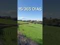 Dia 15 do Desafio #short