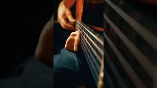 Parasol (part 3) #jessecook #flamenco #rumba #acousticguitar #beautiful #sologuitar