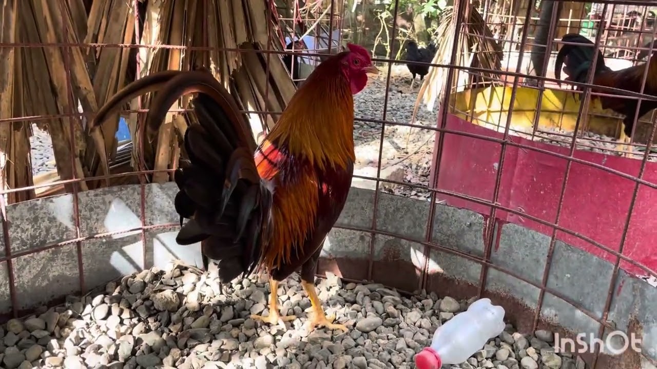 Disponible 8297741707