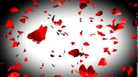 Valentines day motion Graphics art