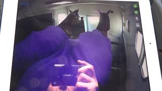 Equi Vue2™ - In Use - Horsebox