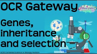 The Whole of OCR Gateway biology topic 5 - Genes, inheritance and selection GCSE Revision