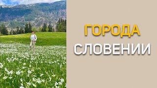 Жизнь в разных городах Словении (ЕС)
