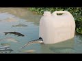 How to Make Easy Fish Trap Using Plastic Bottle
