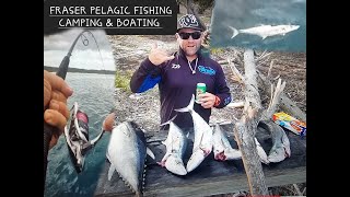 Fraser Island Pelagic Fishing  &amp; camping wathumba creek