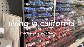 College Week Vlog Art Supply Warehouse Indian Supermarket Beach