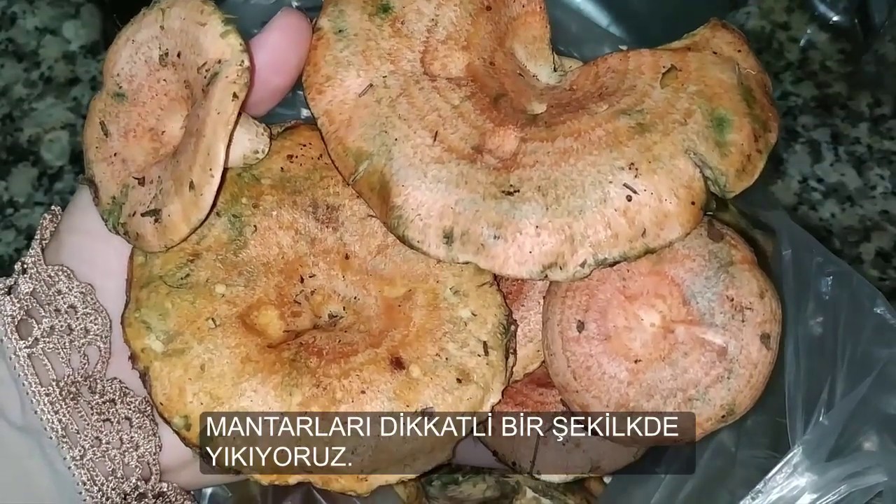 Cintar Kanlica Cam Melki Si Nasil Temizlenir Nasil Yikanir Nasil Pisirilir Youtube