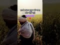 Mera Gaon #mindspeaking #techengineer #gaon #song #village