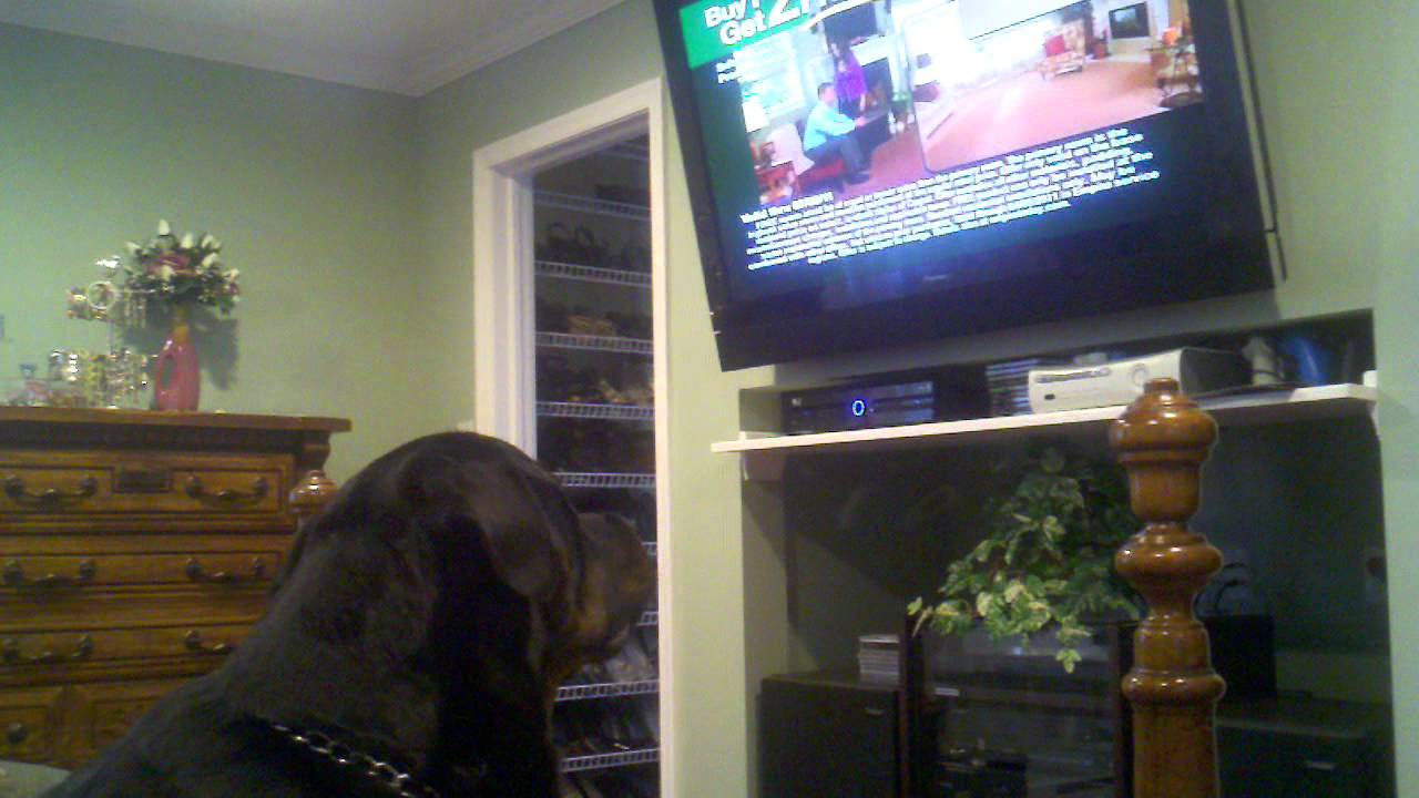 Dear Ellen and the Today Show, just for you...my Rottweiler howls at