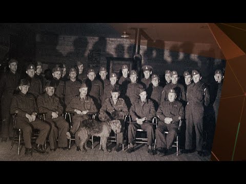 Vidéo: Qu'étaient les camps d'internement japonais au Canada ?