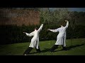 Wudang wu xing five animals qi gong  practice with us
