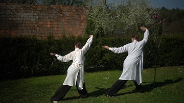 Wudang Wu Xing (Five Animals) Qi Gong - Practice With Us!