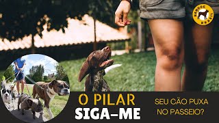 Seu cão puxa na GUIA? Entenda o 'SIGAME'