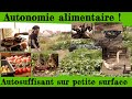 Autonomie Alimentaire Être Autosuffisant Sur Petite Surface Autonomie Alimentaire Être Autosuffisant Sur Petite Surface