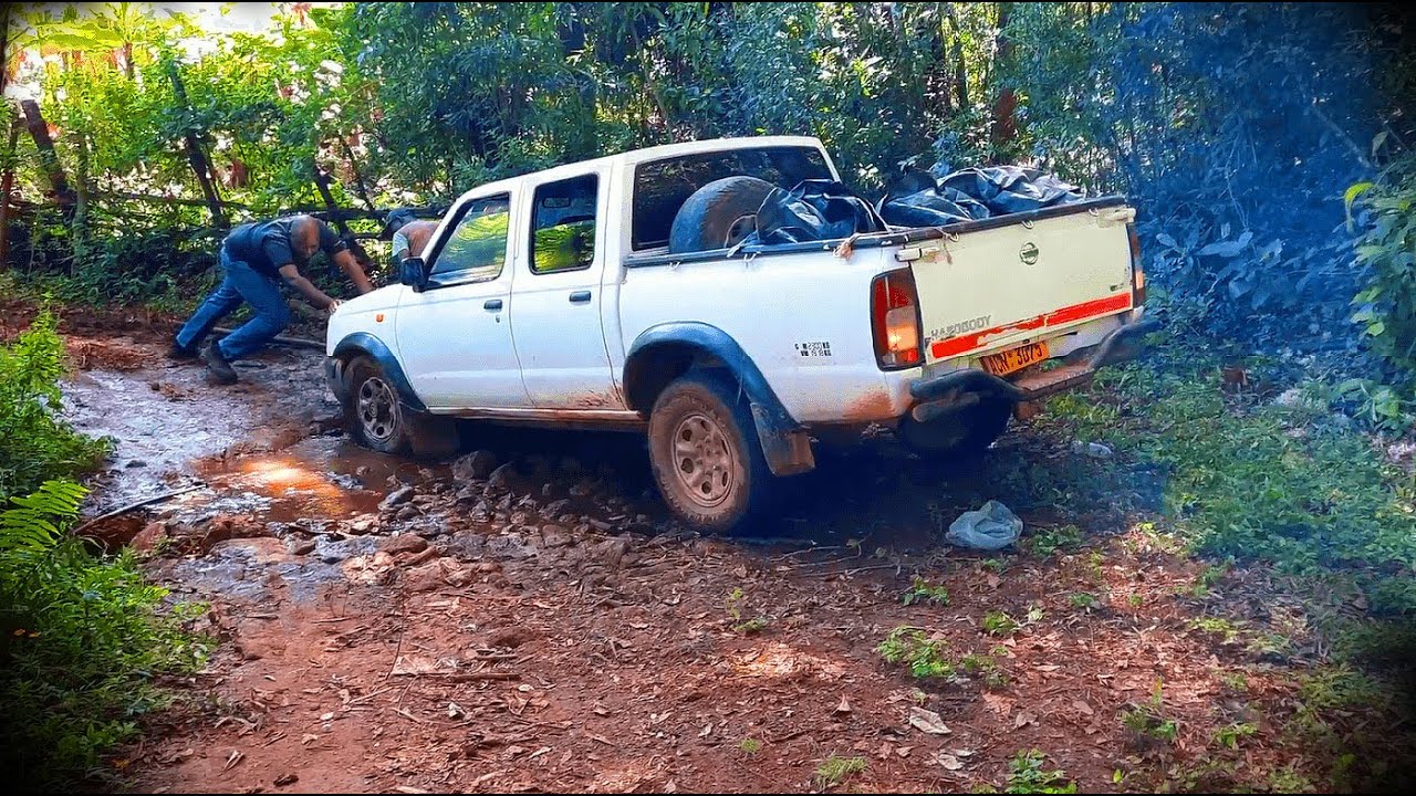 #01 Осматриваю землю и строю сельский дом в Зимбабве.