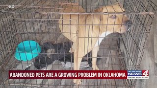Abandoned pets are a growing problem in Oklahoma