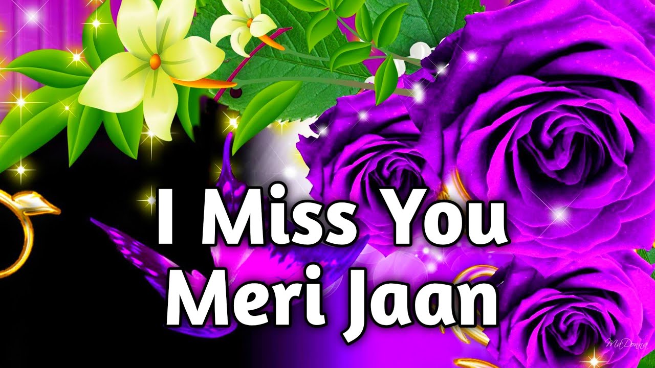 love🥰I Miss YouMeri Jaan - YouTube