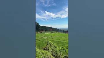 Jane Vaya Joumaya Tyo Pari Dadama Nature 