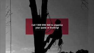 Your local services HUB – when and where you need it!