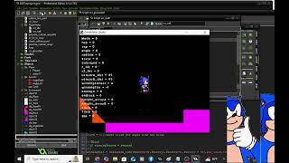 Famous Simple Sonic Engine (SSE) Gamemaker Studio Profile