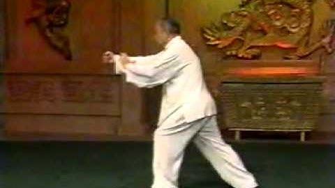 Variations of Yang Taijiquan: Fu Zhong Wen opening discussion of 1 Taiji.