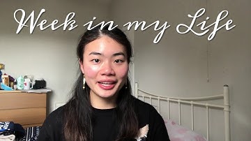 A week in the life of an architecture student