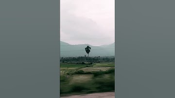 Thumbnail of BAHAAR#bollywood #music #coversong #hindisong .