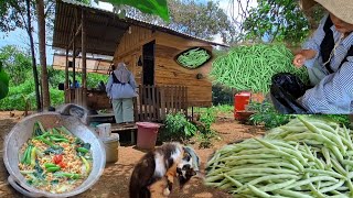 Download Lagu Membangun perkebunan di hutan, menjual sayuran ke desa,masak mie goreng, merawat kebun CTd-74 MP3 Download Lagu Membangun perkebunan di hutan, menjual sayuran ke desa,masak mie goreng, merawat kebun CTd-74 MP3