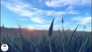 I rest in God  - Non-Duality - ACIM - Spiritual Healing - Meditation Music