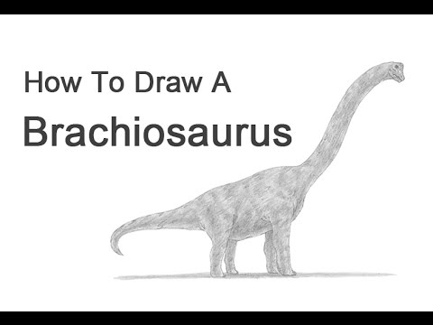 How to Draw a Brachiosaurus - YouTube