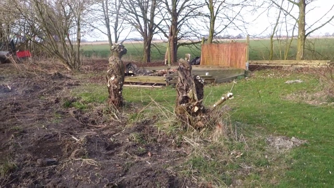 Minervas Hexenhof :Projekt Zaubergarten Teil 2