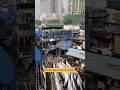 World’s largest open air laundry in Mumbai 😍 Dhobi Ghat