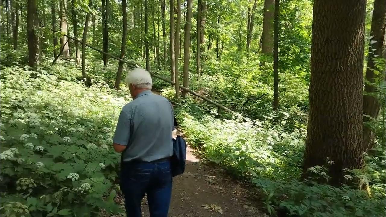 Знаменская роща курск знаменская роща фото Поход в Знаменскую рощу ! - YouTube