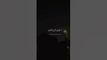 تلاوة جميلة جدا لآيات من سورة الأنبياء  | Quran