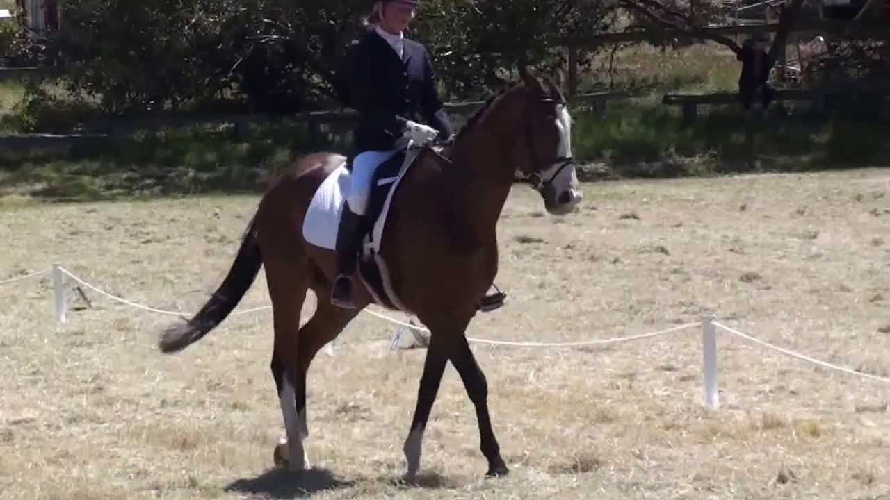 esb-golden-knot-youtube