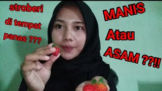 Strawberry Giant Di Dataran Rendah petik dan rasain manis atau asam ?! | Ofra Linda