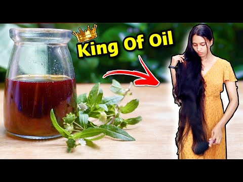 HomeMade Bhringraj Oil: How To Make Bhringraj Oil For Hair Growth|Hair Fall And Hair Growth Solution