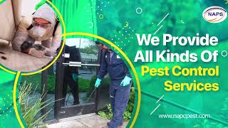 pest control Services in Dubai sharjah ajman
