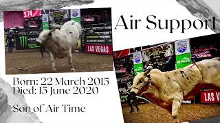 Rest in Peace Air Support - Current bull World number 1 died this week