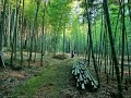 ケルトの子守歌（Celtic Lullaby）