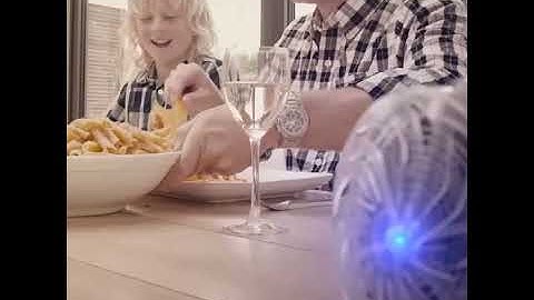 Solar Powered Bug Zapper