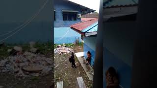 DownloadTerciduk.anak sd pacaran di blakang wc MP3 MP4 Terciduk.anak sd pacaran di blakang wc