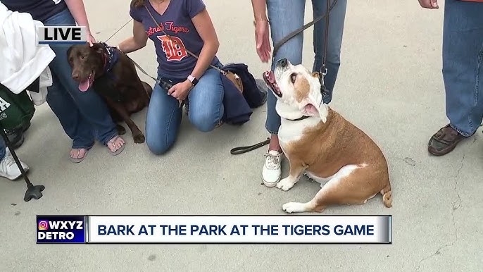 Los Angeles Dodgers on X: Natural Balance Bark in the Park is