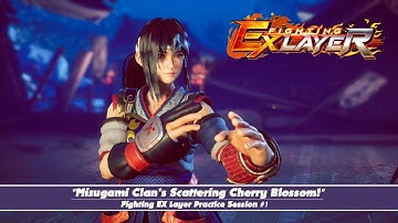 Fighting EX Layer Practice Session #1