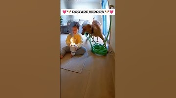 Dog Protects Baby-Heartwarming Moment! ❤️🐶 #shorts #dog  #comedyeffect