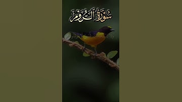 #اللهم_صل_وسلم_على_نبينا_محمد #القدس_إسلامية #قرآن كريم #اللهم انصر اخواننا في غزه