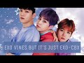 EXO vines but it’s just EXO-CBX