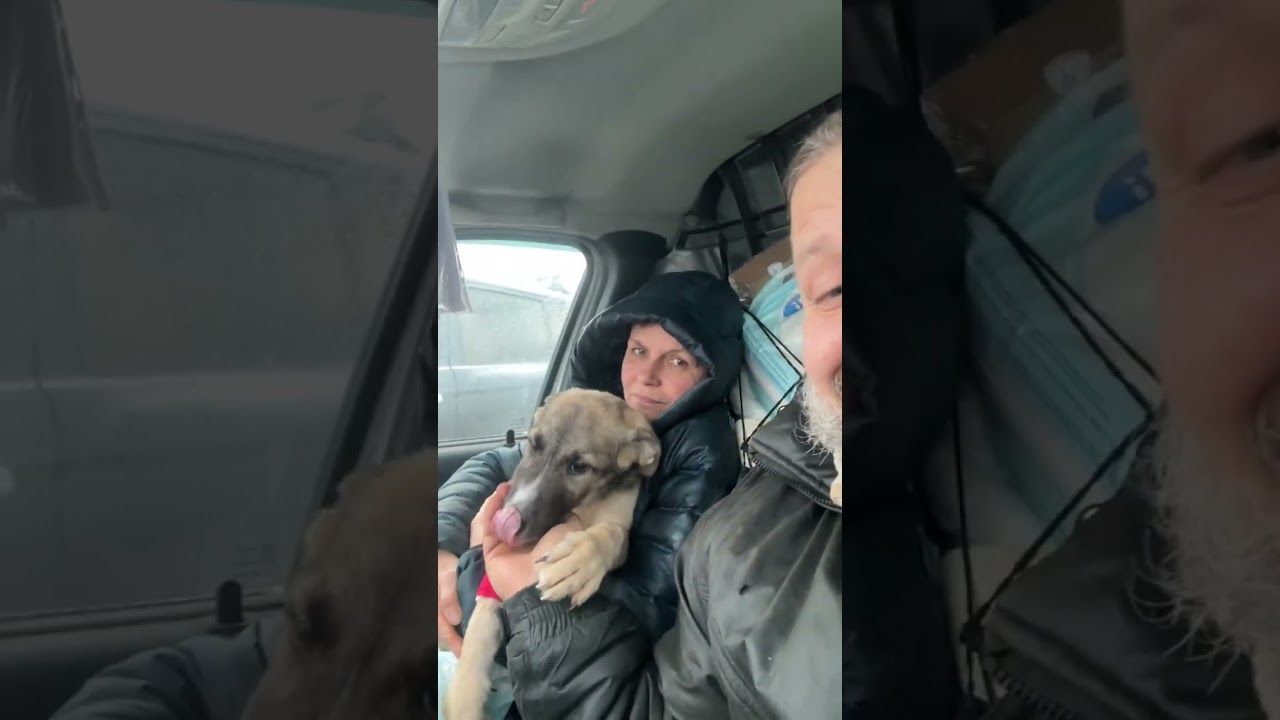 Забрали Немо и Шанса 🐾